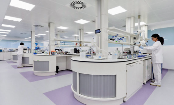 植物細(xì)胞實(shí)驗(yàn)室如何施工建設(shè)