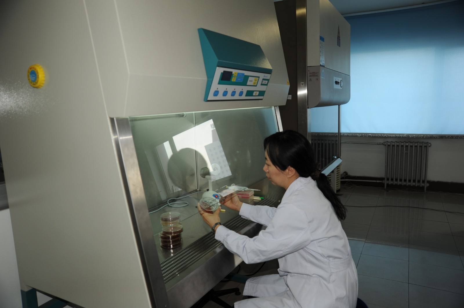 微生物無(wú)菌實(shí)驗(yàn)室建設(shè)要點(diǎn) 微生物無(wú)菌實(shí)驗(yàn)室建設(shè)要點(diǎn)